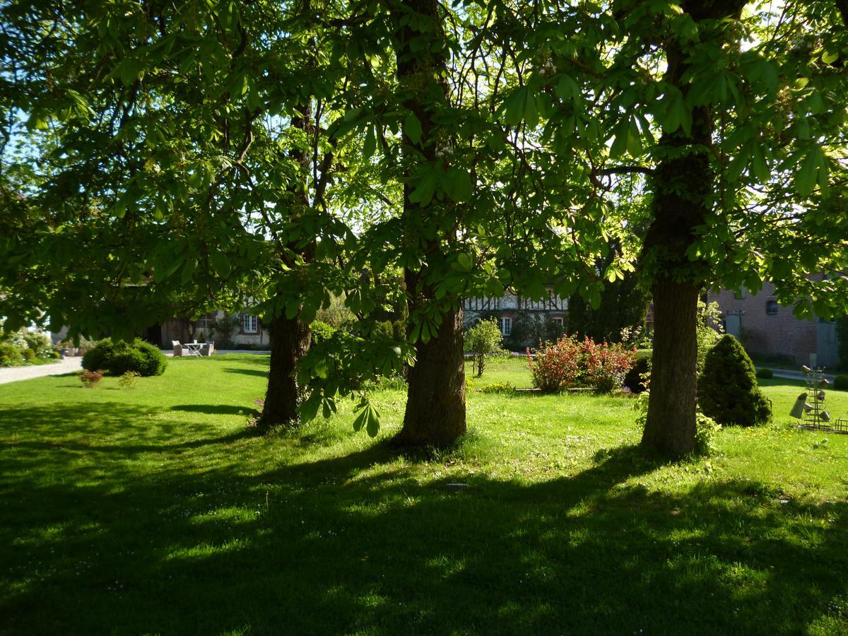 Moussey  Domaine De La Creuse Bed & Breakfast エクステリア 写真